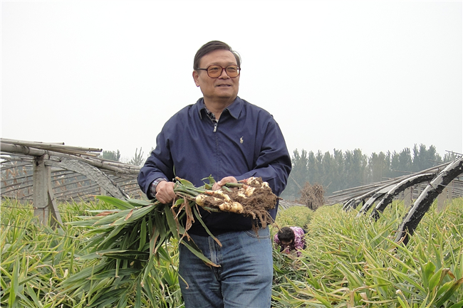 米庆华教授主持完成的"新型功能性农用塑料棚膜及地膜研发与产业化